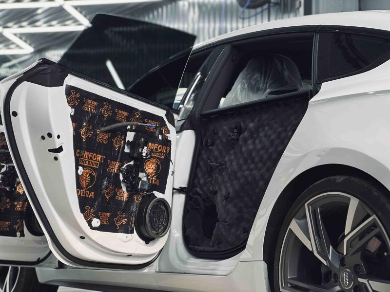 Шумоизоляция дверей